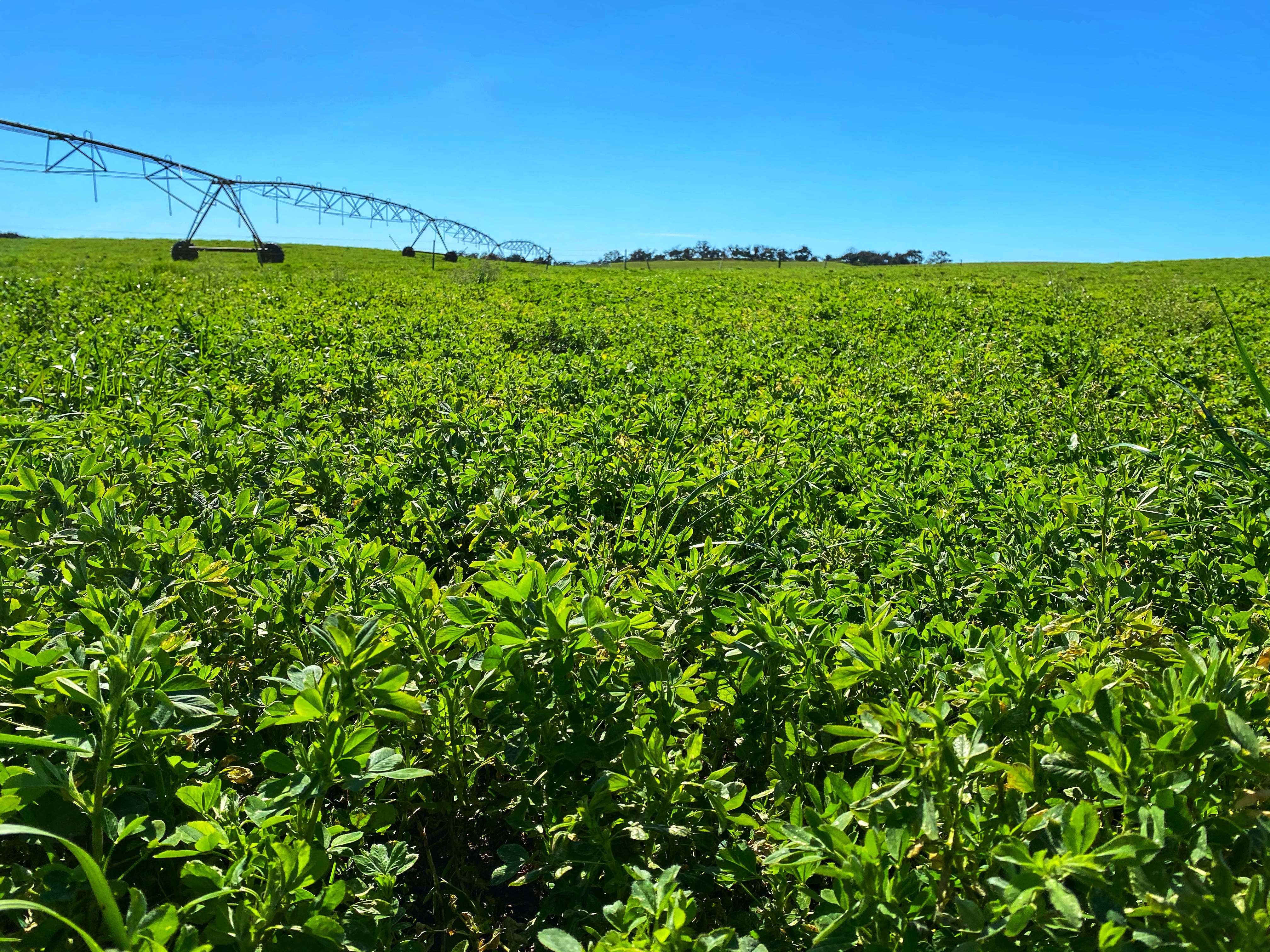 ./IMG_4588_Edited__1776219719431